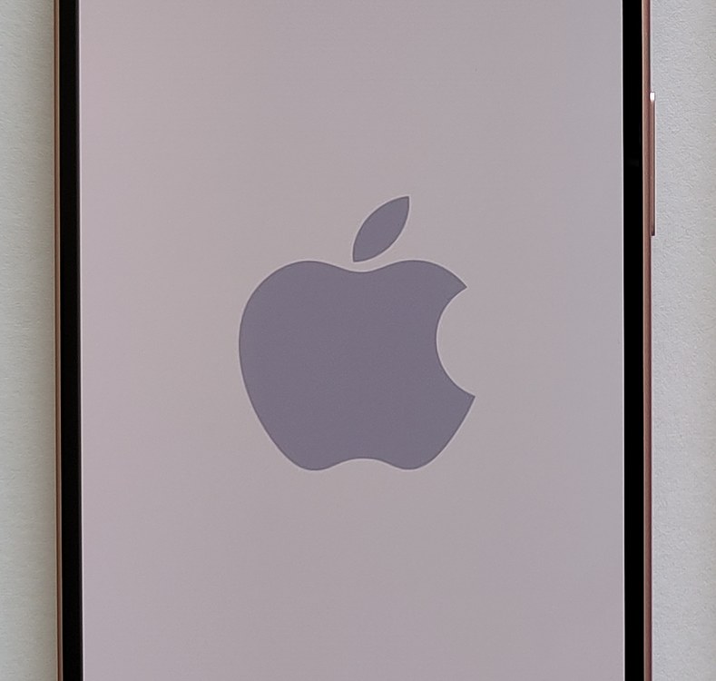 Apple iPhone 15 Pro Dynamic Island Front Display Macro